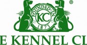 Bulldog Standard (KC) Bulldog Standard (KC)