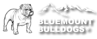 Bluemount Bulldogs