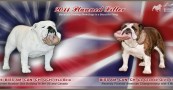 2011 Planned Breeding 2011 Planned Breeding