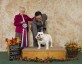 Moncton Kennel Club Shows